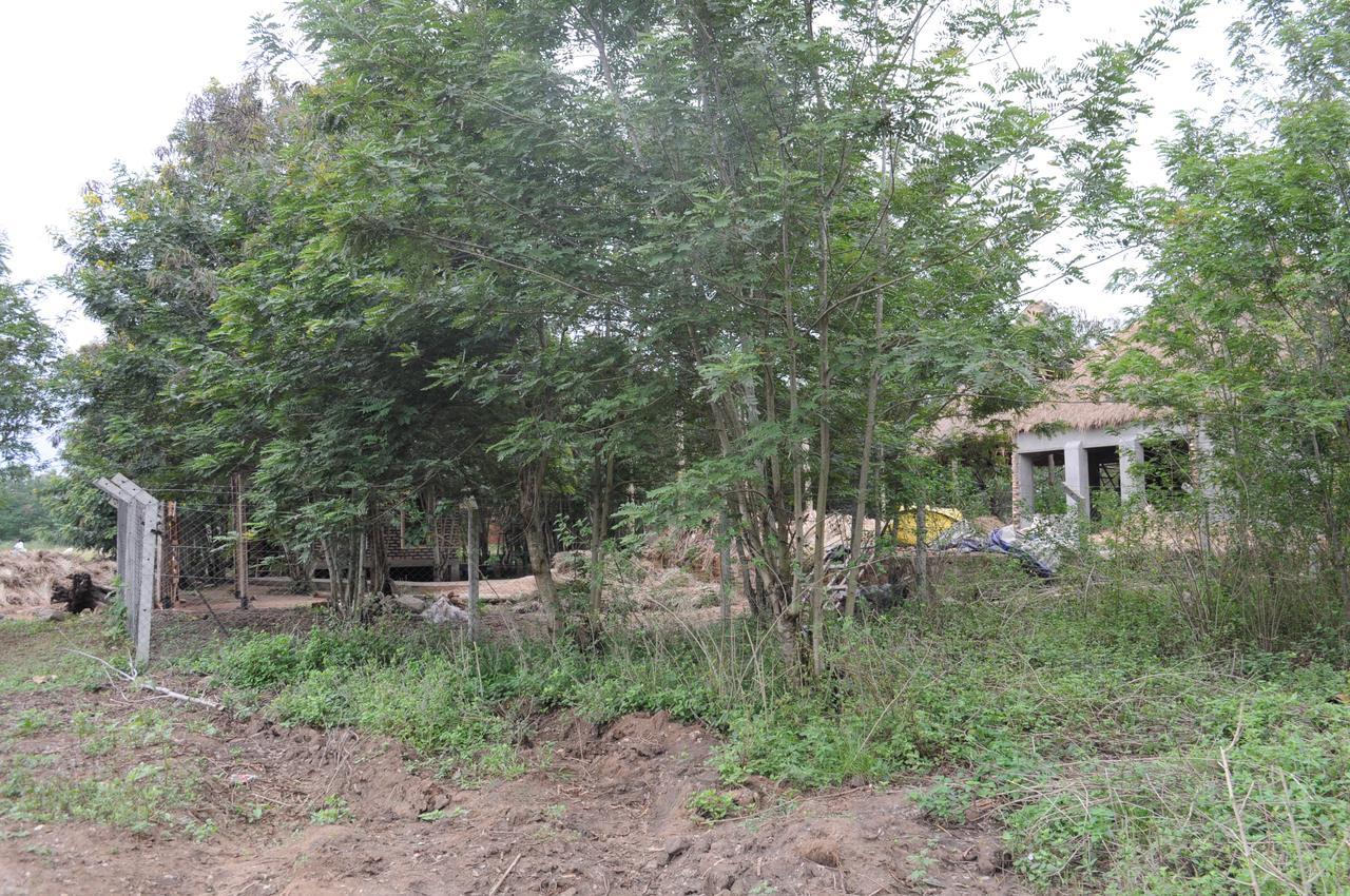 Irungu Forest Safari Lodge Katunguru 外观 照片