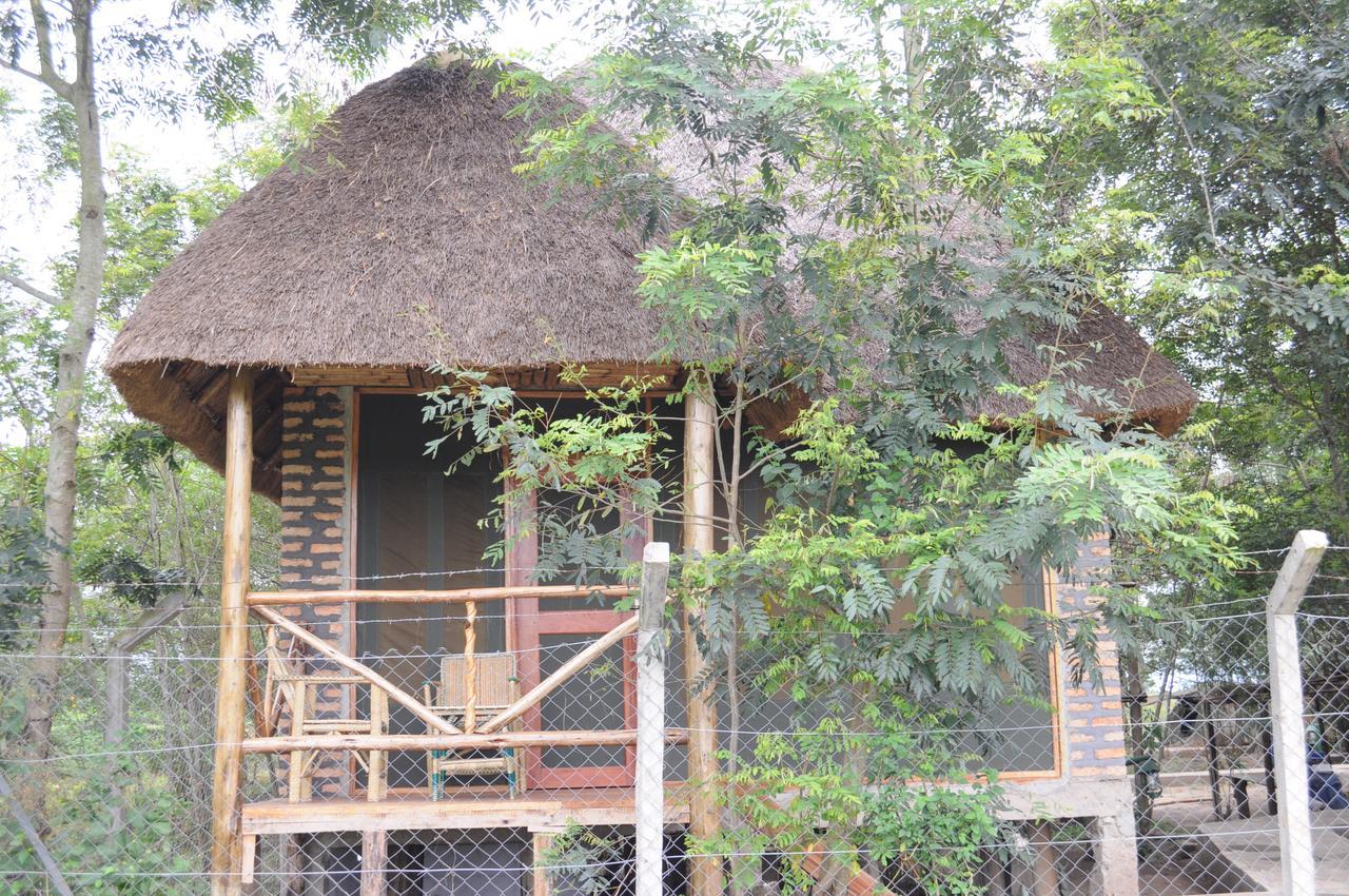 Irungu Forest Safari Lodge Katunguru 外观 照片