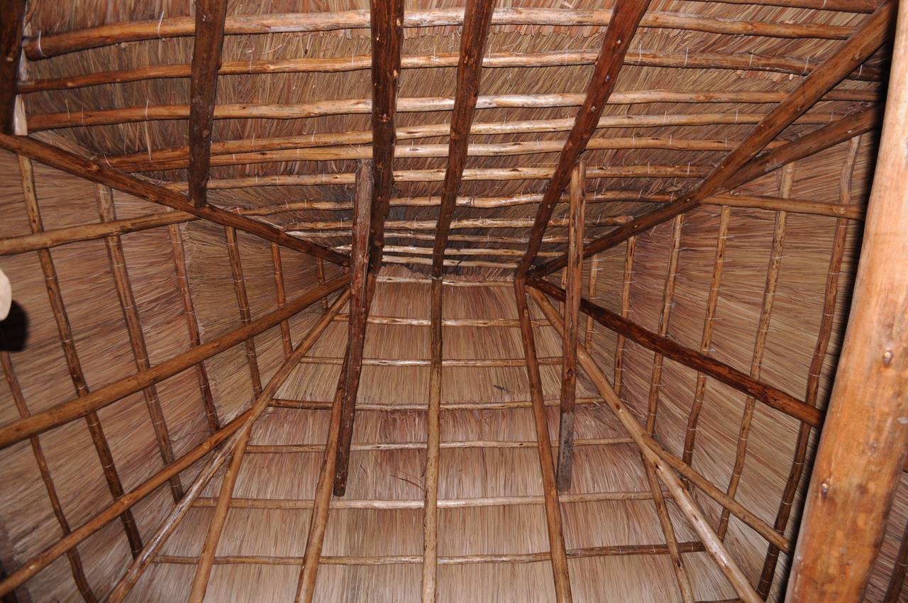Irungu Forest Safari Lodge Katunguru 外观 照片