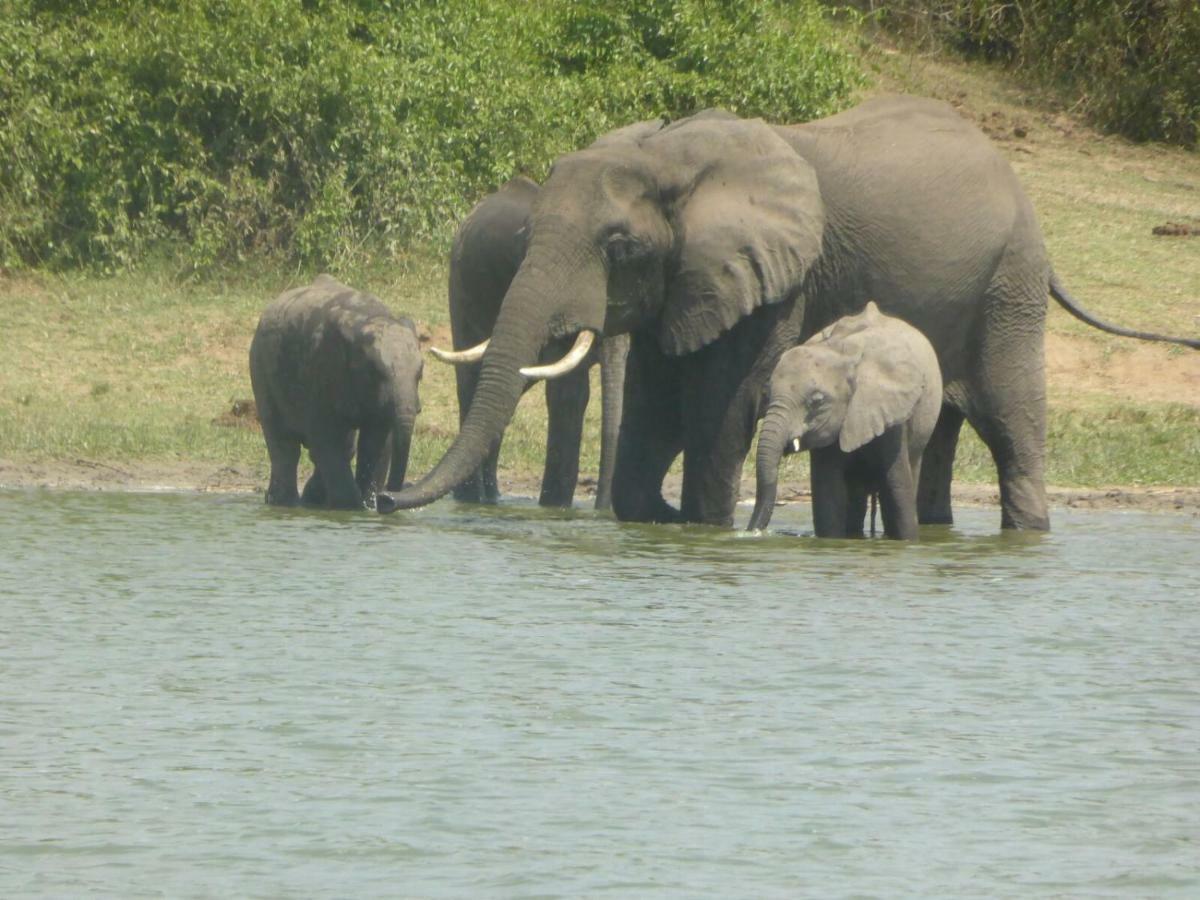 Irungu Forest Safari Lodge Katunguru 外观 照片