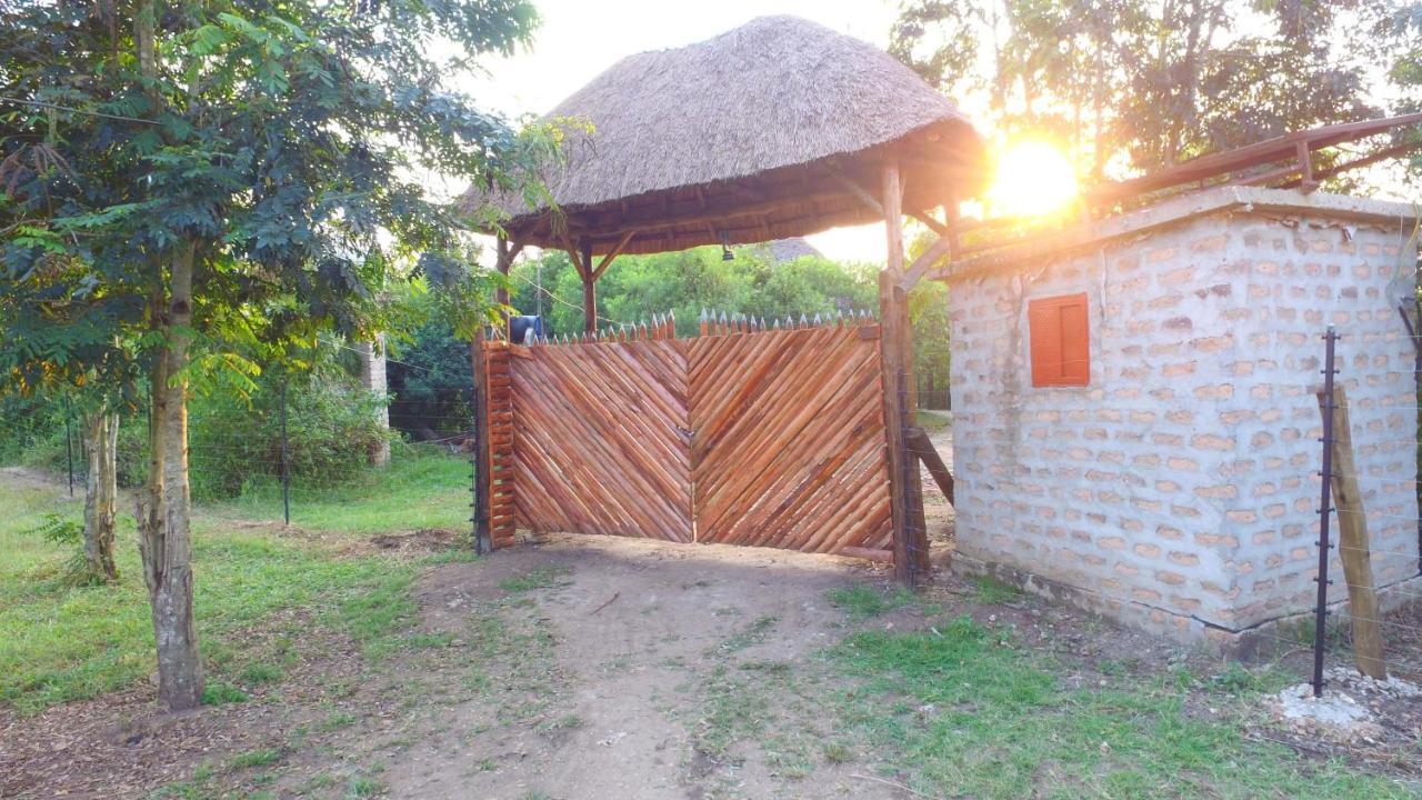 Irungu Forest Safari Lodge Katunguru 外观 照片