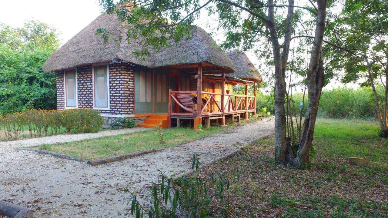 Irungu Forest Safari Lodge Katunguru 外观 照片